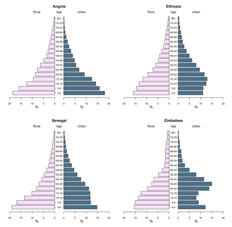 age_structure_4countries.png