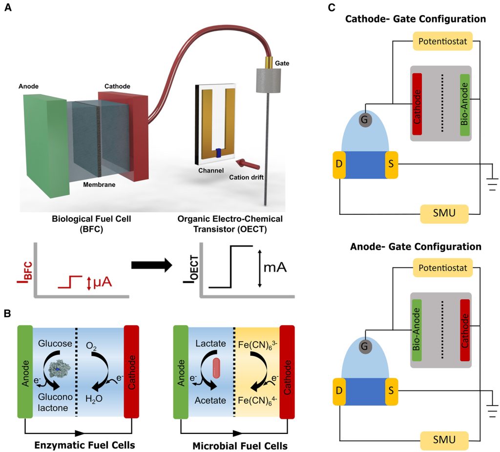 new-method-developed-t-1.jpg