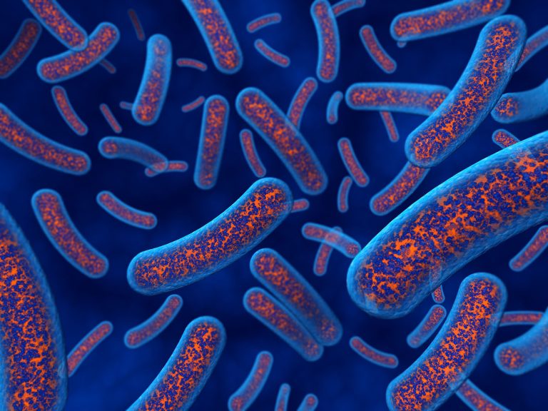 Microbiome-GettyImages-183409163.jpg