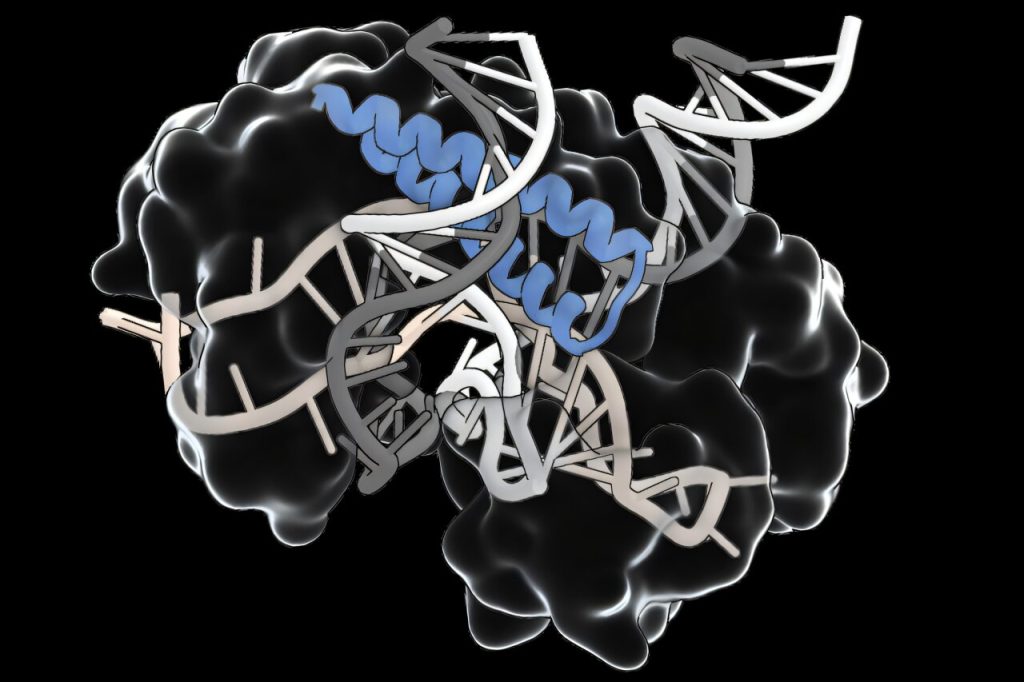 an-ancient-rna-guided.jpg