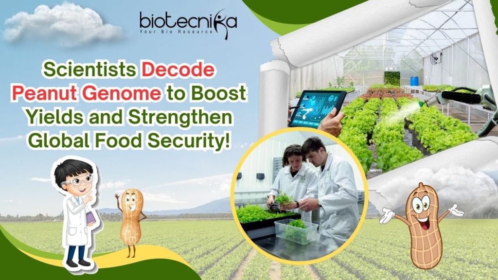 Green-and-White-Modern-Agriculture-YouTube-Thumbnail-2.jpg