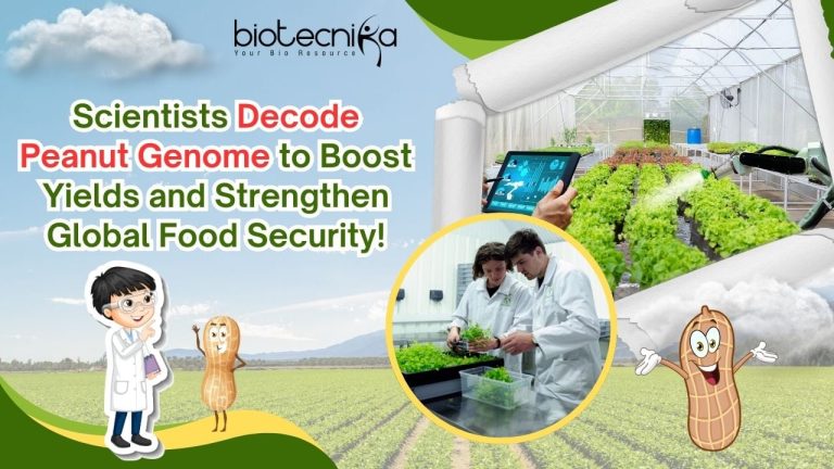 Green-and-White-Modern-Agriculture-YouTube-Thumbnail-2.jpg