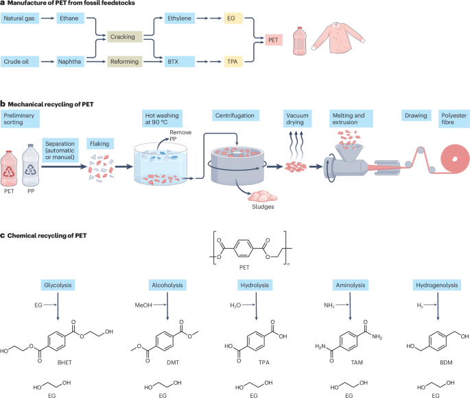 44222_2025_308_Fig1_HTML.png