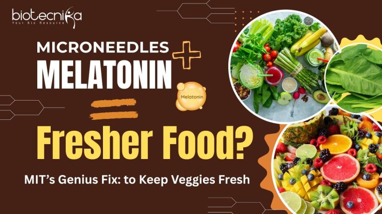 Microneedles-Melatonin-Fresher-Food-MITs-Genius-Fix-to-Keep-Veggies-Fresh-.jpg