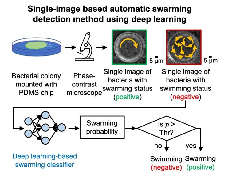 ai-predicts-bacterial-1.jpg