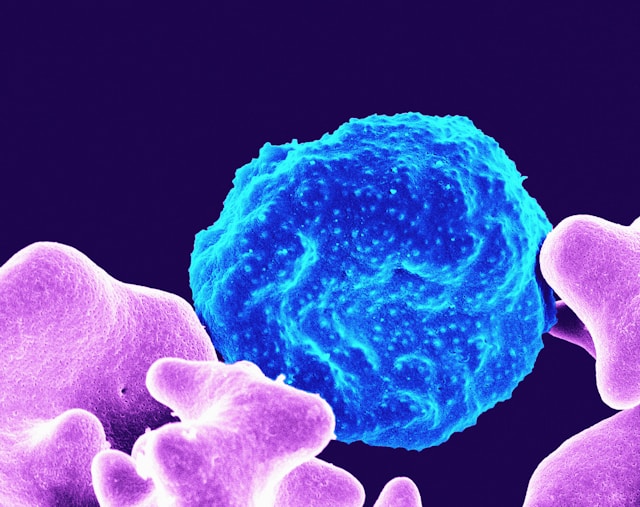 national-institute-of-allergy-and-infectious-diseases-y-BfSMLL5iM-unsplash.jpg