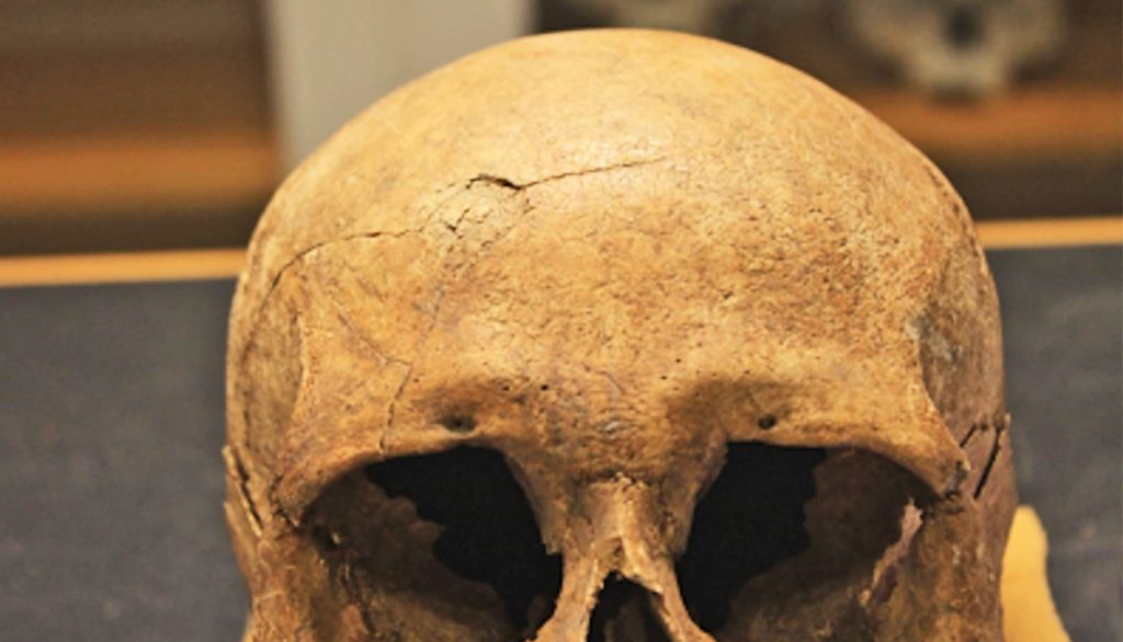 viking-bones-violence-1600.jpg