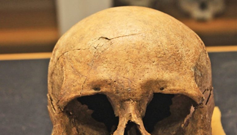 viking-bones-violence-1600.jpg