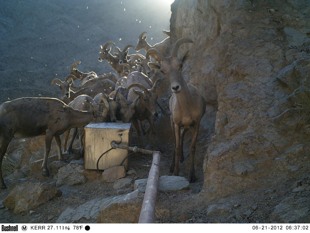 wildlife-researchers-t-1.jpg