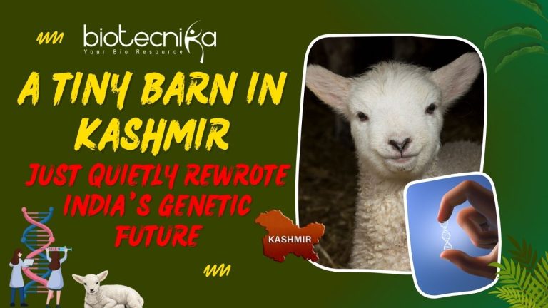 A-Tiny-Barn-in-Kashmir-Just-Quietly-Rewrote-Indias-Genetic-Future-1.jpg