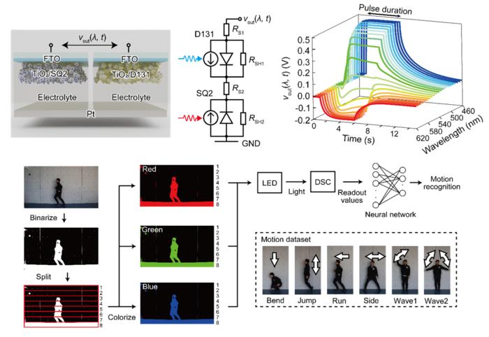 Self-Powered-Artificial-Synapse-Replicates-Human-Color-Vision.jpeg