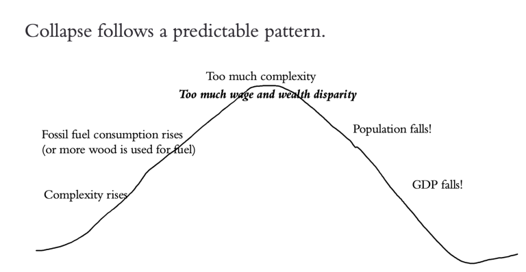 Slide-15.-Collapse-follows-a-predictable-pattern.png