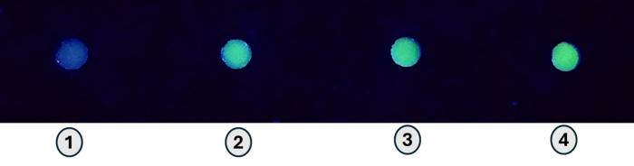 Terbiums-Green-Glow-A-Novel-Simple-Sensor-for-Detecting-Liver.jpeg