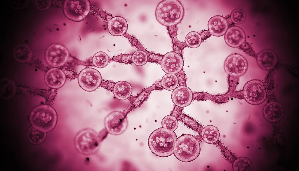 ClimateImpact_GettyImages_1475786515_CandidaAurisCells.jpg