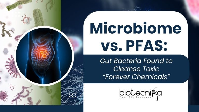 Microbiome-vs.-PFAS-Gut-Bacteria-Found-to-Cleanse-Toxic-Forever-Chemicals.jpg