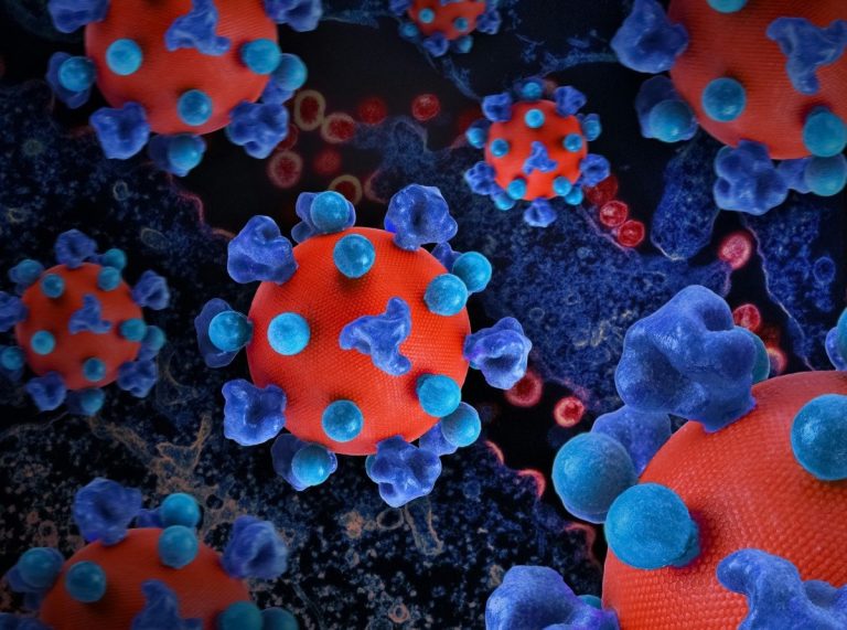 Rare-autoimmune-diseases.jpg