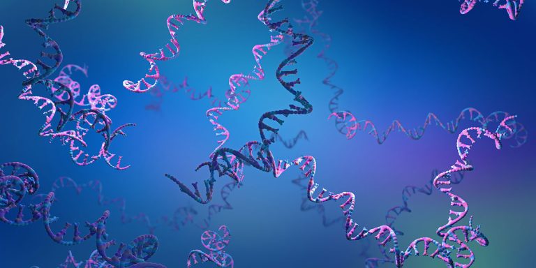 TL_Bio-Rad_GettyImages-1355065925.jpg