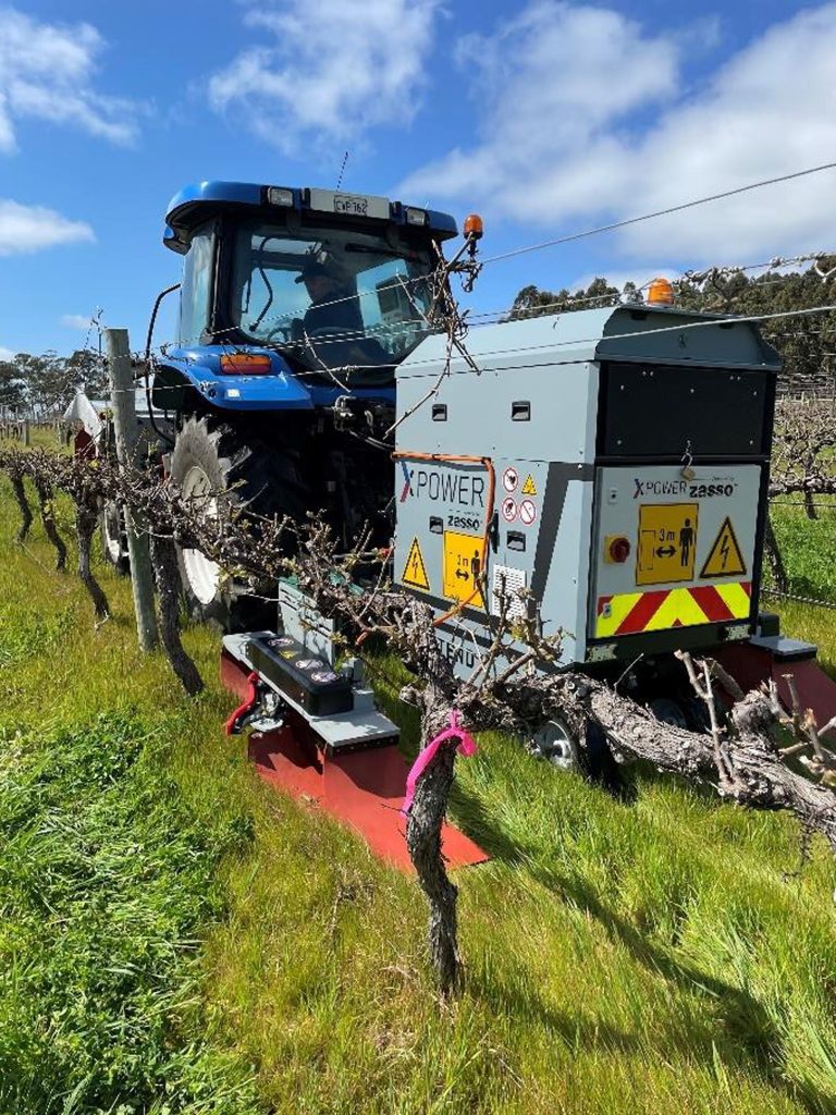 electric-weed-control-1.jpg